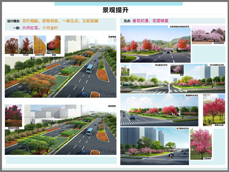 时博官方网站